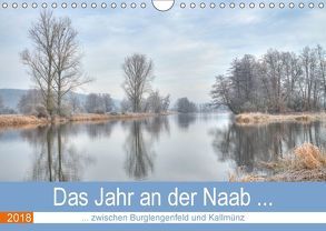 Das Jahr an der Naab zwischen Burglengenfeld und Kallmünz (Wandkalender 2018 DIN A4 quer) von Rinner,  Rudolf
