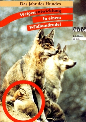 Das Jahr des Hundes / Welpenentwicklung in einem Wildhundrudel von Leidhold,  Joachim, Trumler,  Erika