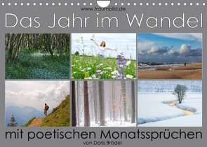 Das Jahr im Wandel – mit poetischen Monatssprüchen (Wandkalender 2023 DIN A4 quer) von Watzinger,  Max