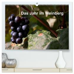 Das Jahr im Weinberg (hochwertiger Premium Wandkalender 2024 DIN A2 quer), Kunstdruck in Hochglanz von Baumert,  Frank