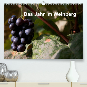 Das Jahr im Weinberg (Premium, hochwertiger DIN A2 Wandkalender 2022, Kunstdruck in Hochglanz) von Baumert,  Frank