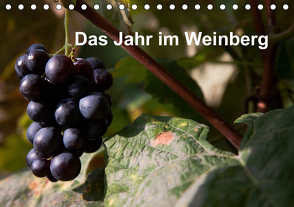 Das Jahr im Weinberg (Tischkalender 2021 DIN A5 quer) von Baumert,  Frank