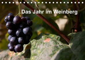 Das Jahr im Weinberg (Tischkalender 2023 DIN A5 quer) von Baumert,  Frank
