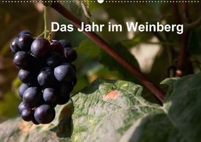 Das Jahr im Weinberg (Wandkalender 2018 DIN A2 quer) von Baumert,  Frank