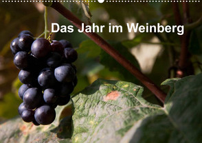 Das Jahr im Weinberg (Wandkalender 2022 DIN A2 quer) von Baumert,  Frank