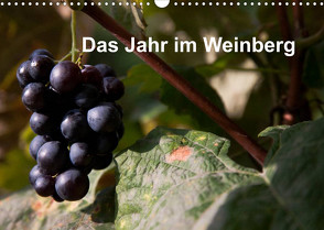 Das Jahr im Weinberg (Wandkalender 2022 DIN A3 quer) von Baumert,  Frank