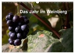 Das Jahr im Weinberg (Wandkalender 2024 DIN A3 quer), CALVENDO Monatskalender von Baumert,  Frank
