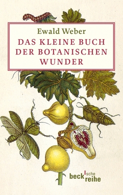 Das kleine Buch der botanischen Wunder von Schadwinkel,  Sonia, Weber,  Ewald
