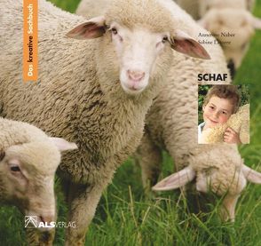 Das kreative Sachbuch „Schaf“ von Kreide,  Ingrid, Latorre,  Sabine, Naber,  Annerose
