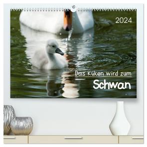 Das Küken wird zum Schwan (hochwertiger Premium Wandkalender 2024 DIN A2 quer), Kunstdruck in Hochglanz von T. Frank,  Roland