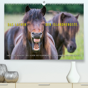 Das Lachen der Islandhengste. (Premium, hochwertiger DIN A2 Wandkalender 2023, Kunstdruck in Hochglanz) von Gerlach,  Ingo