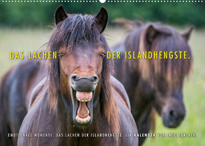 Das Lachen der Islandhengste. (Wandkalender 2023 DIN A2 quer) von Gerlach,  Ingo