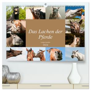 Das Lachen der Pferde – Lustige Gesichter (hochwertiger Premium Wandkalender 2024 DIN A2 quer), Kunstdruck in Hochglanz von Bölts,  Meike