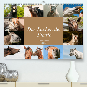 Das Lachen der Pferde – Lustige Gesichter (Premium, hochwertiger DIN A2 Wandkalender 2022, Kunstdruck in Hochglanz) von Bölts,  Meike