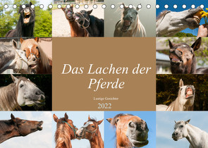 Das Lachen der Pferde – Lustige Gesichter (Tischkalender 2022 DIN A5 quer) von Bölts,  Meike
