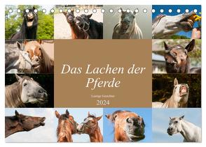 Das Lachen der Pferde – Lustige Gesichter (Tischkalender 2024 DIN A5 quer), CALVENDO Monatskalender von Bölts,  Meike