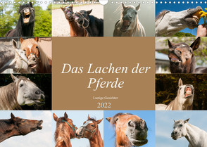 Das Lachen der Pferde – Lustige Gesichter (Wandkalender 2022 DIN A3 quer) von Bölts,  Meike