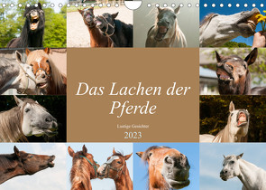 Das Lachen der Pferde – Lustige Gesichter (Wandkalender 2023 DIN A4 quer) von Bölts,  Meike