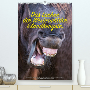 Das Lachen der Westerwälder Islandhengste. (Premium, hochwertiger DIN A2 Wandkalender 2022, Kunstdruck in Hochglanz) von Gerlach,  Ingo