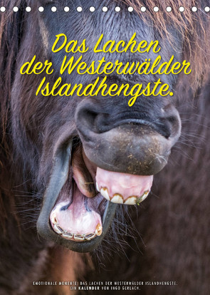 Das Lachen der Westerwälder Islandhengste. (Tischkalender 2023 DIN A5 hoch) von Gerlach,  Ingo