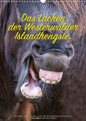 Das Lachen der Westerwälder Islandhengste. (Wandkalender 2022 DIN A3 hoch) von Gerlach,  Ingo