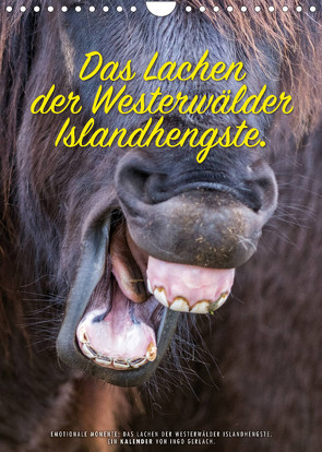 Das Lachen der Westerwälder Islandhengste. (Wandkalender 2022 DIN A4 hoch) von Gerlach,  Ingo
