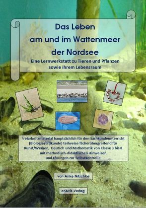 Das Leben am und im Wattenmeer der Nordsee. Eine Lernwerkstatt zu Tieren und Pflanzen sowie ihrem Lebensraum von Nitschke,  Anke