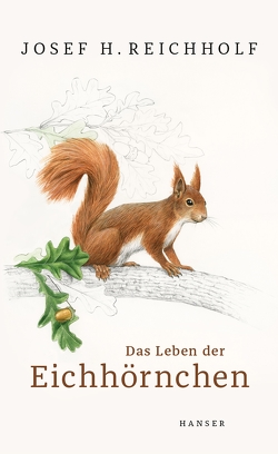Das Leben der Eichhörnchen von Brandstetter,  Johann, Reichholf,  Josef H.