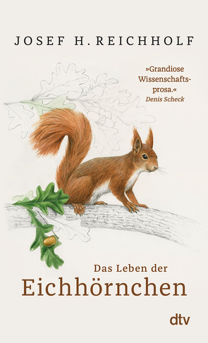 Das Leben der Eichhörnchen von Reichholf,  Josef H.