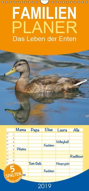 Das Leben der Enten – Familienplaner hoch (Wandkalender 2019 , 21 cm x 45 cm, hoch) von kattobello