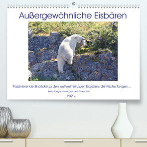 Das Leben der etwas „anderen“ Eisbären! (Premium, hochwertiger DIN A2 Wandkalender 2023, Kunstdruck in Hochglanz) von Bengtsson / Perlenfänger Naturtouren & Artenschutz,  Sabine
