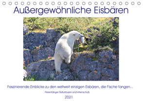 Das Leben der etwas „anderen“ Eisbären! (Tischkalender 2021 DIN A5 quer) von Bengtsson / Perlenfänger Naturtouren & Artenschutz,  Sabine
