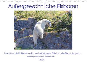 Das Leben der etwas „anderen“ Eisbären! (Wandkalender 2021 DIN A4 quer) von Bengtsson / Perlenfänger Naturtouren & Artenschutz,  Sabine