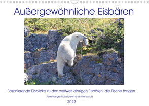 Das Leben der etwas „anderen“ Eisbären! (Wandkalender 2022 DIN A3 quer) von Bengtsson / Perlenfänger Naturtouren & Artenschutz,  Sabine