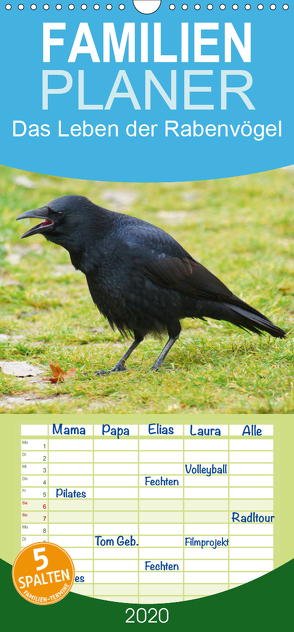 Das Leben der Rabenvögel – Familienplaner hoch (Wandkalender 2020 , 21 cm x 45 cm, hoch) von kattobello