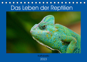 Das Leben der Reptilien (Tischkalender 2023 DIN A5 quer) von kattobello