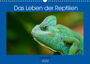 Das Leben der Reptilien (Wandkalender 2022 DIN A3 quer) von kattobello