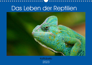 Das Leben der Reptilien (Wandkalender 2023 DIN A3 quer) von kattobello