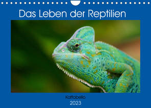 Das Leben der Reptilien (Wandkalender 2023 DIN A4 quer) von kattobello