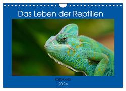 Das Leben der Reptilien (Wandkalender 2024 DIN A4 quer), CALVENDO Monatskalender von Kattobello,  Kattobello