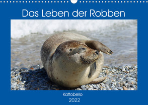 Das Leben der Robben (Wandkalender 2022 DIN A3 quer) von kattobello