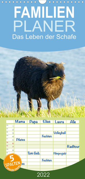 Das Leben der Schafe – Familienplaner hoch (Wandkalender 2022 , 21 cm x 45 cm, hoch) von kattobello