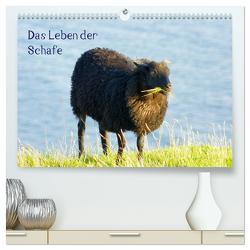 Das Leben der Schafe (hochwertiger Premium Wandkalender 2024 DIN A2 quer), Kunstdruck in Hochglanz von Kattobello,  Kattobello