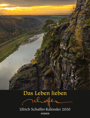 Das Leben lieben von Schaffer,  Ulrich