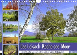 Das Loisach-Kochelsee-Moor Traumhafte Moosrundwege bei Benediktbeuern (Wandkalender 2023 DIN A4 quer) von Schimmack,  Michaela