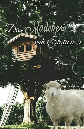 Das Mädchen von Station 5 von Schmeyer,  Marcel