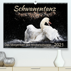 Das Morgenbad des Höckerschwans (Premium, hochwertiger DIN A2 Wandkalender 2021, Kunstdruck in Hochglanz) von Banker,  Sylvio