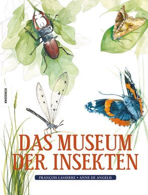 Das Museum der Insekten von de Angelis,  Anne, Lasserre,  François