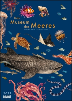Das Museum des Meeres 2023 ‒ Posterkalender ‒ mit Illustrationen und vielen Erklärungen ‒ Spiralbindung ‒ Format 50 x 70 cm von Trinick,  Loveday, White,  Teagan