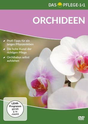 Das Pflege-1×1 Orchideen von Topoll,  Theresa
